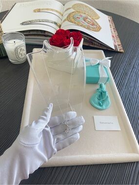 Tiffany & Co. Elsa Peretti Alphabet Letter Y Pendant in Silver, Small 16” in NEW